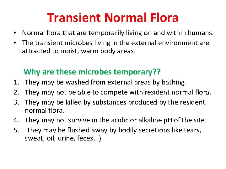 Transient Normal Flora • Normal flora that are temporarily living on and within humans.