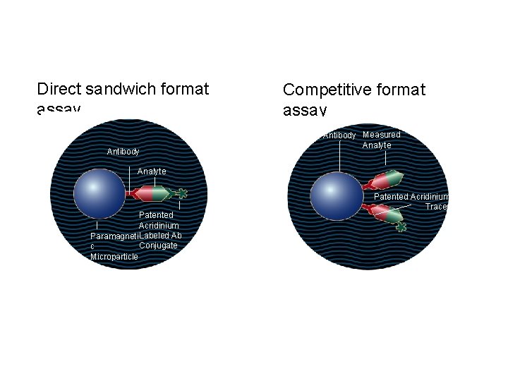 Direct sandwich format assay Antibody Competitive format assay Antibody Measured Analyte Patented Acridinium Paramagneti