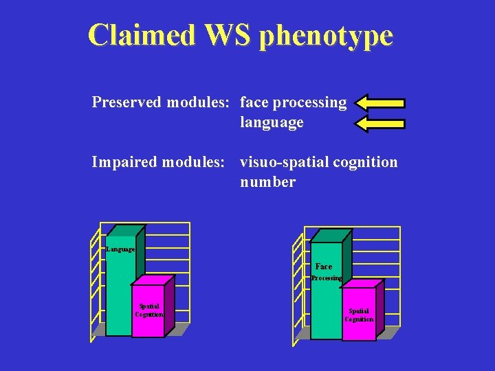 Claimed WS phenotype Preserved modules: face processing language Impaired modules: visuo-spatial cognition number Language