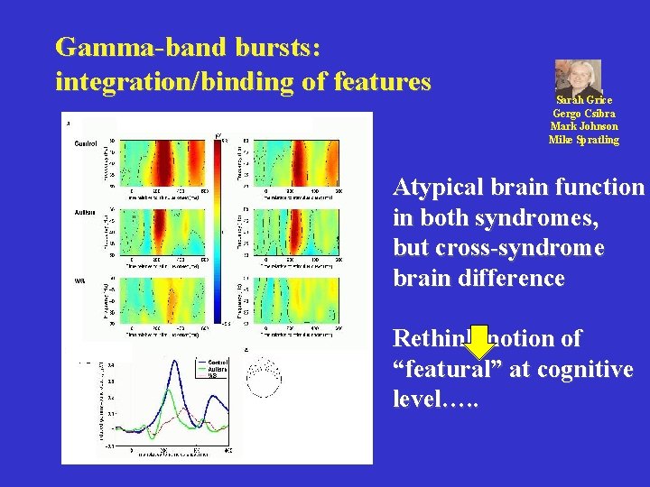 Gamma-band bursts: integration/binding of features Sarah Grice Gergo Csibra Mark Johnson Mike Spratling Atypical