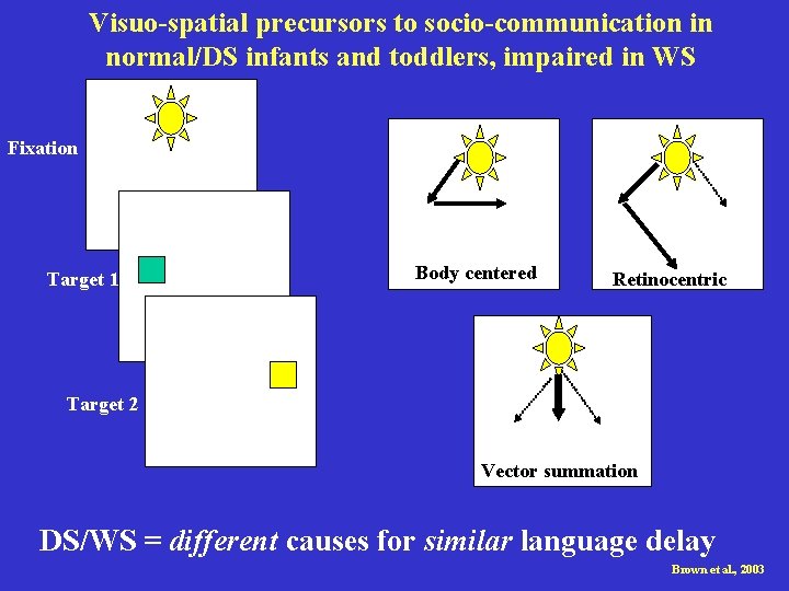 Visuo-spatial precursors to socio-communication in normal/DS infants and toddlers, impaired in WS Fixation Target