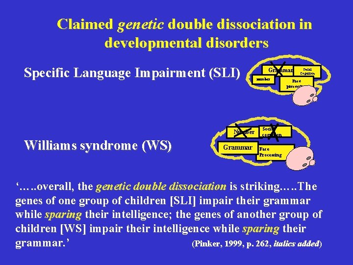 Claimed genetic double dissociation in developmental disorders Specific Language Impairment (SLI) Number Williams syndrome