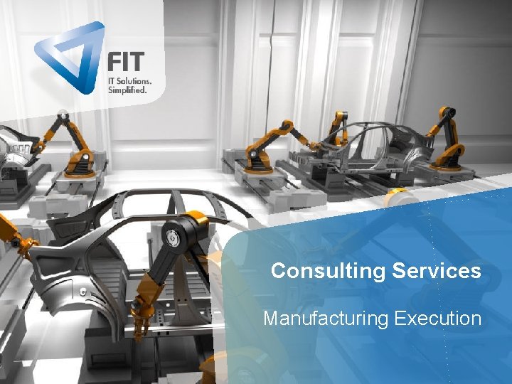 Consulting Services Manufacturing Execution 