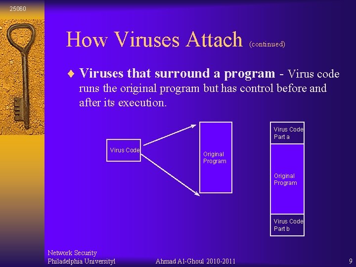 25060 How Viruses Attach (continued) ¨ Viruses that surround a program - Virus code