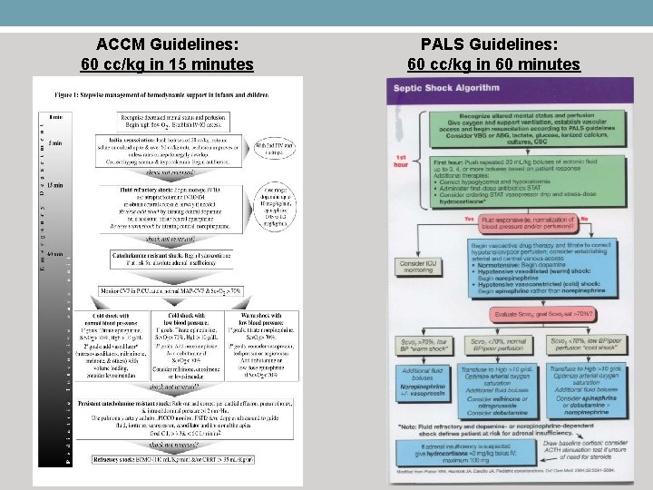 ACCM Guidelines: 60 cc/kg in 15 minutes PALS Guidelines: 60 cc/kg in 60 minutes