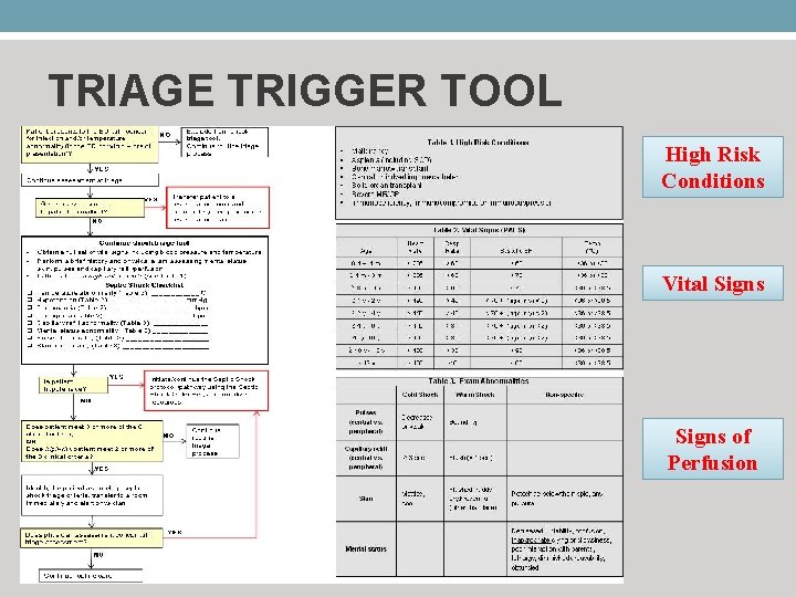 TRIAGE TRIGGER TOOL High Risk Conditions Vital Signs of Perfusion 