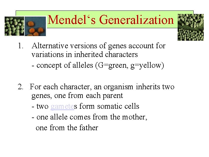  Mendel‘s Generalization 1. Alternative versions of genes account for variations in inherited characters