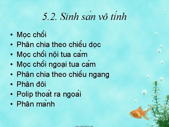 5. 2. Sinh sa n vô ti nh • • Mo c chô i