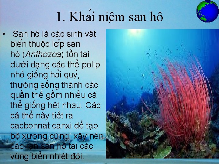 1. Kha i niê m san hô • San hô là các sinh vâ