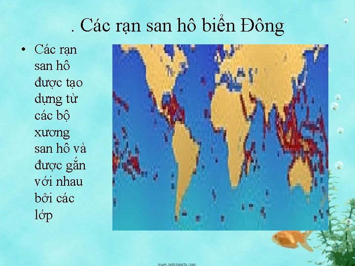 . Các rạn san hô biển Đông • Các rạn san hô được tạo