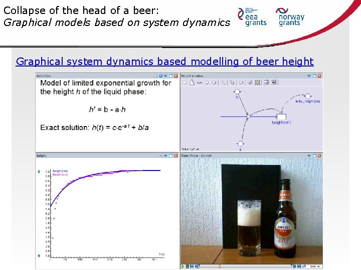 Collapse of the head of a beer: Graphical models based on system dynamics Graphical