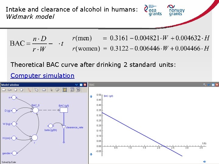 Intake and clearance of alcohol in humans: Widmark model Theoretical BAC curve after drinking