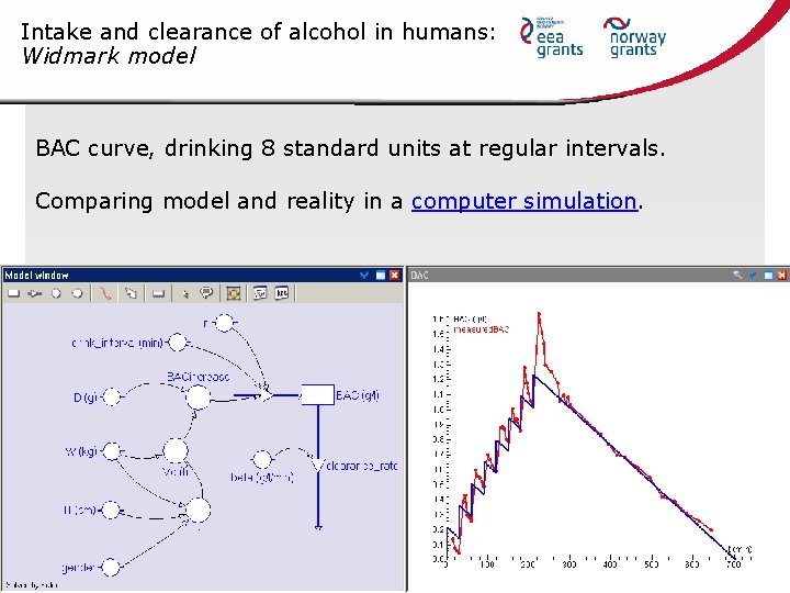 Intake and clearance of alcohol in humans: Widmark model BAC curve, drinking 8 standard
