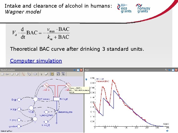 Intake and clearance of alcohol in humans: Wagner model Theoretical BAC curve after drinking
