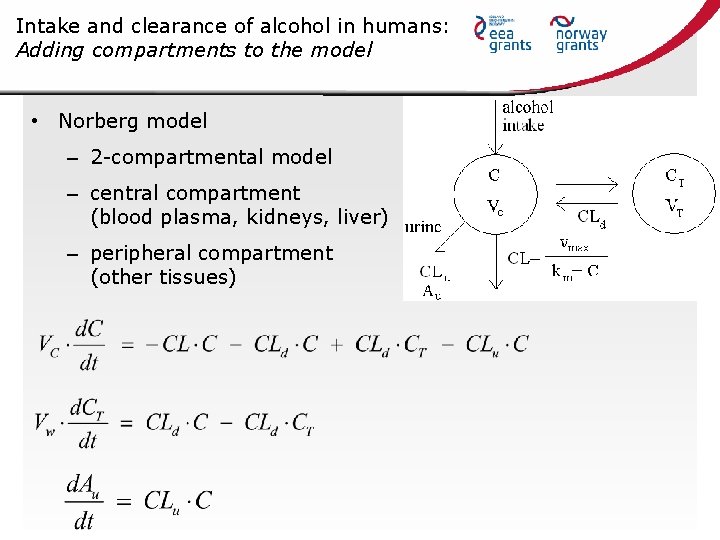 Intake and clearance of alcohol in humans: Adding compartments to the model • Norberg