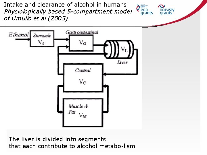 Intake and clearance of alcohol in humans: Physiologically based 5 -compartment model of Umulis