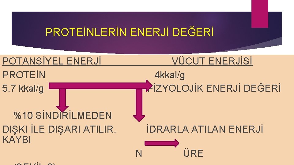 PROTEİNLERİN ENERJİ DEĞERİ POTANSİYEL ENERJİ PROTEİN 5. 7 kkal/g VÜCUT ENERJİSİ 4 kkal/g FİZYOLOJİK