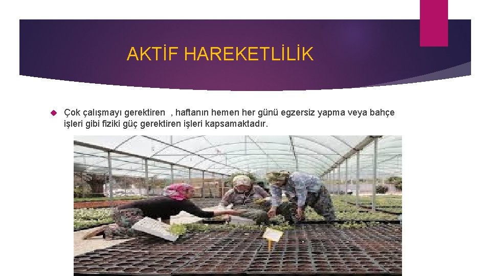 AKTİF HAREKETLİLİK Çok çalışmayı gerektiren , haftanın hemen her günü egzersiz yapma veya bahçe