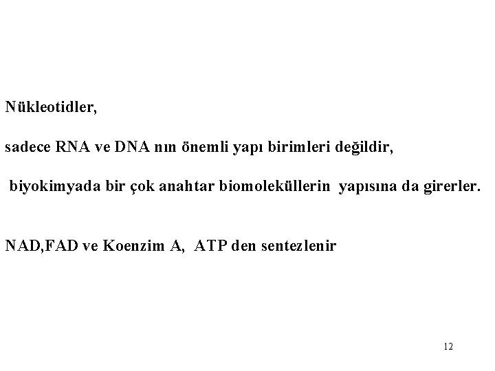 Nükleotidler, sadece RNA ve DNA nın önemli yapı birimleri değildir, biyokimyada bir çok anahtar