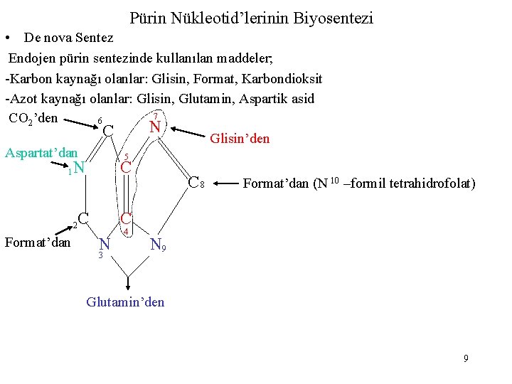 Pürin Nükleotid’lerinin Biyosentezi • De nova Sentez Endojen pürin sentezinde kullanılan maddeler; -Karbon kaynağı