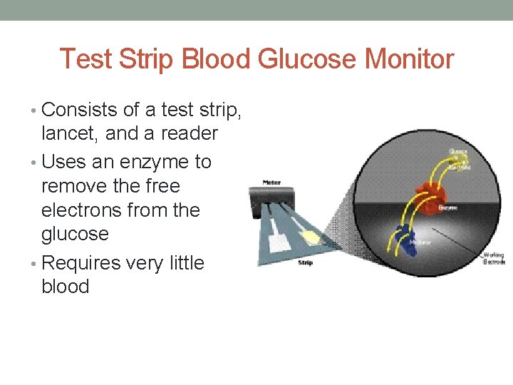 Test Strip Blood Glucose Monitor • Consists of a test strip, lancet, and a