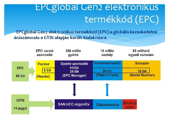 EPCglobal Gen 2 elektronikus termékkód (EPC)-a globális kereskedelmi árúszámozás a GTIN alapján került kialakításra.