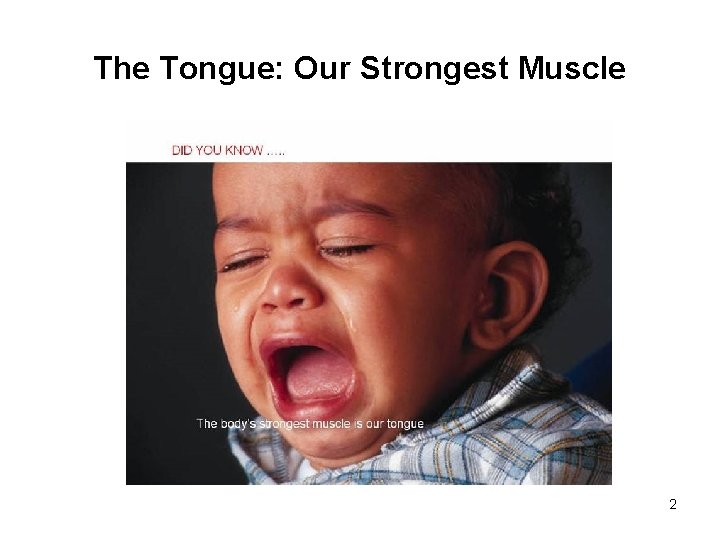 The Tongue: Our Strongest Muscle 2 