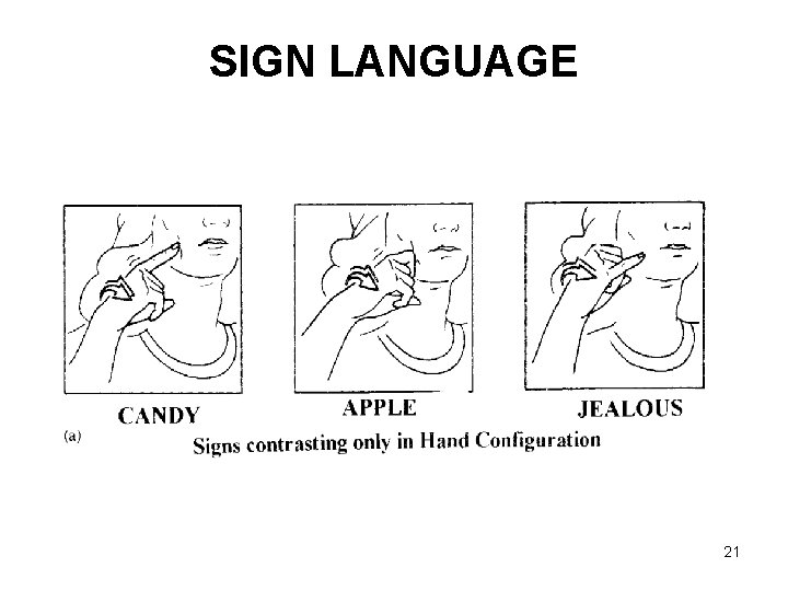 SIGN LANGUAGE 21 