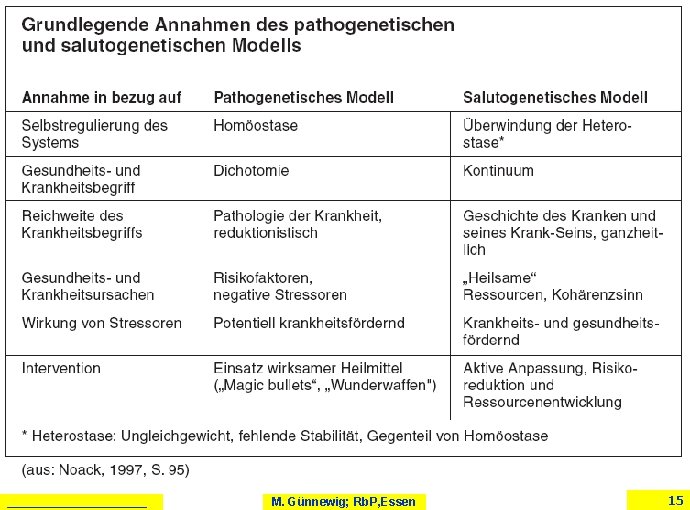 ___________ M. Günnewig; Rb. P, Essen 15 ___________ M. Günnewig; Rb. P, Essen 15