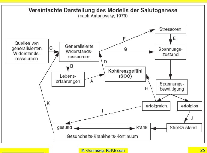 ___________ M. Günnewig; Rb. P, Essen 25 ___________ M. Günnewig; Rb. P, Essen 25