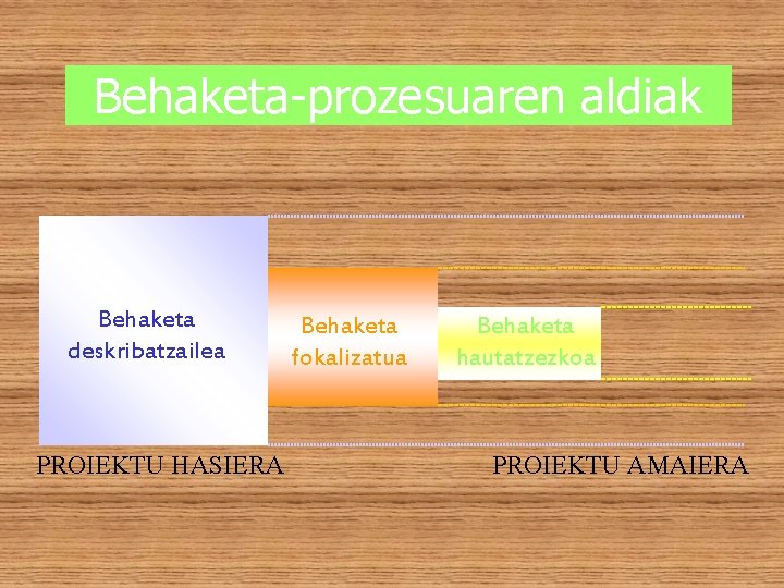 Behaketa-prozesuaren aldiak Behaketa deskribatzailea PROIEKTU HASIERA Behaketa fokalizatua Behaketa hautatzezkoa PROIEKTU AMAIERA 