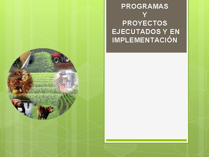 PROGRAMAS Y PROYECTOS EJECUTADOS Y EN IMPLEMENTACIÓN 