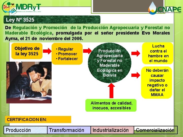 Ley Nº 3525 De Regulación y Promoción de la Producción Agropecuaria y Forestal no