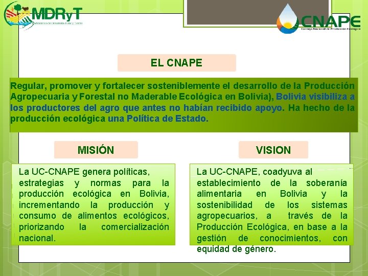 EL CNAPE Regular, promover y fortalecer sosteniblemente el desarrollo de la Producción Agropecuaria y