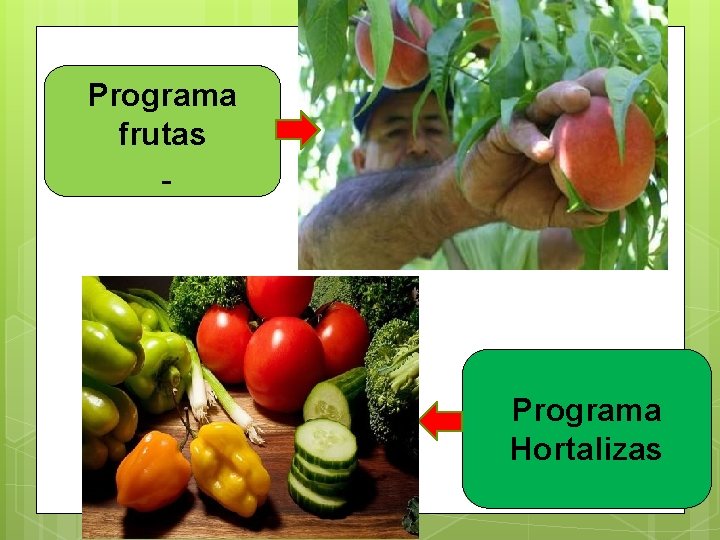 Programa frutas Programa Hortalizas 