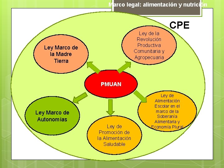 Marco legal: alimentación y nutrición Ley de la Revolución Productiva Comunitaria y Agropecuaria Ley