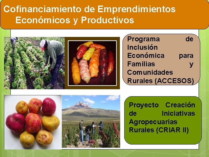 Cofinanciamiento de Emprendimientos Económicos y Productivos Programa de Inclusión Económica para Familias y Comunidades
