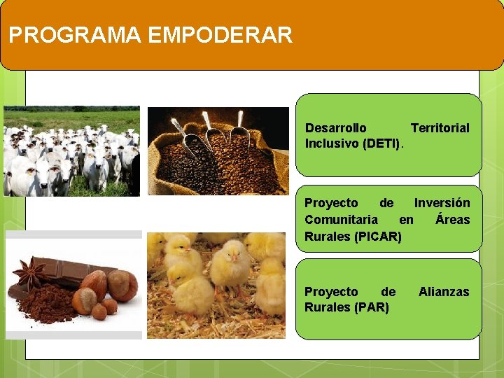 PROGRAMA EMPODERAR Desarrollo Territorial Inclusivo (DETI). Proyecto de Inversión Comunitaria en Áreas Rurales (PICAR)