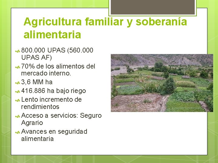 Agricultura familiar y soberanía alimentaria 800. 000 UPAS (560. 000 UPAS AF) 70% de