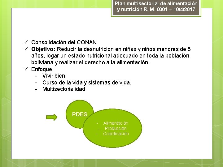 Plan multisectorial de alimentación y nutrición R. M. 0001 – 10/4/2017 ü Consolidación del