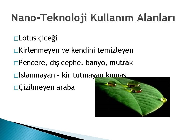 Nano-Teknoloji Kullanım Alanları � Lotus çiçeği � Kirlenmeyen � Pencere, ve kendini temizleyen dış