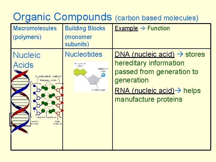Notes Macromolecule Table Objective Cell biology standard 1