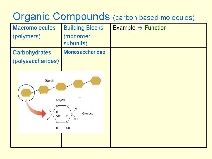 Organic Compounds Macromolecules (polymers) Building Blocks (monomer subunits) Monosaccharides Carbohydrates (polysaccharides) (carbon based molecules)