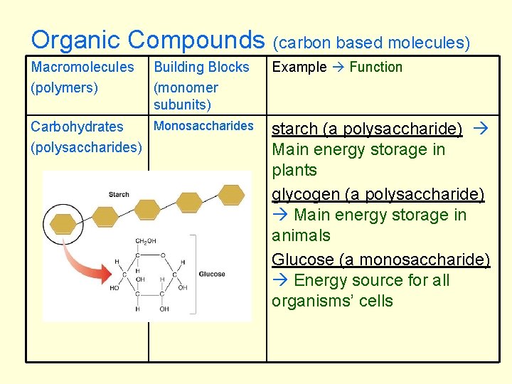 Organic Compounds Macromolecules (polymers) Building Blocks (monomer subunits) Monosaccharides Carbohydrates (polysaccharides) (carbon based molecules)
