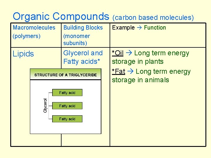 Organic Compounds (carbon based molecules) Macromolecules (polymers) Building Blocks (monomer subunits) Example Function Lipids