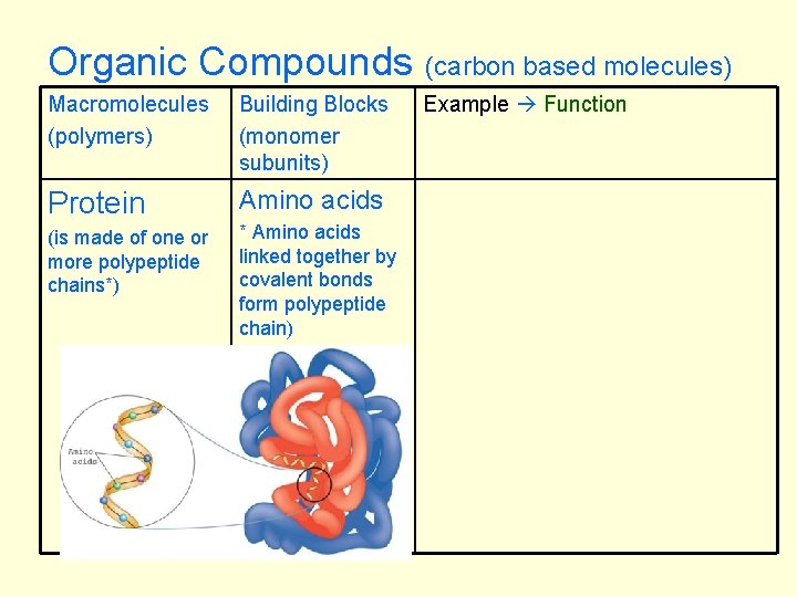 Organic Compounds Macromolecules (polymers) Building Blocks (monomer subunits) Protein Amino acids (is made of