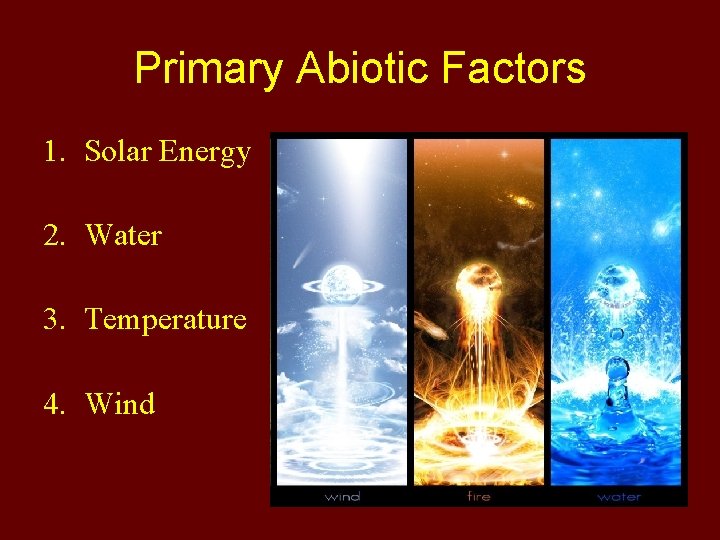 Primary Abiotic Factors 1. Solar Energy 2. Water 3. Temperature 4. Wind 