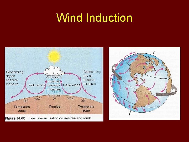 Wind Induction 