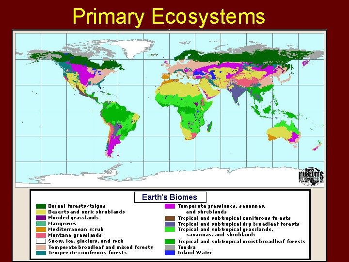 Primary Ecosystems 