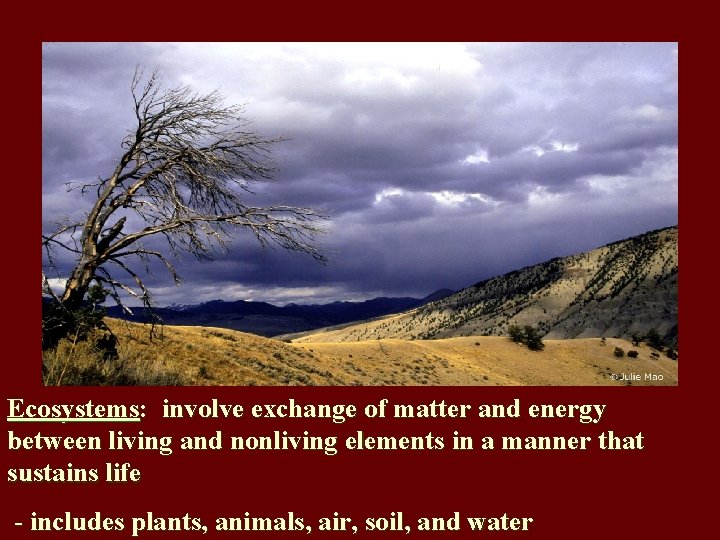 Ecosystems: involve exchange of matter and energy between living and nonliving elements in a